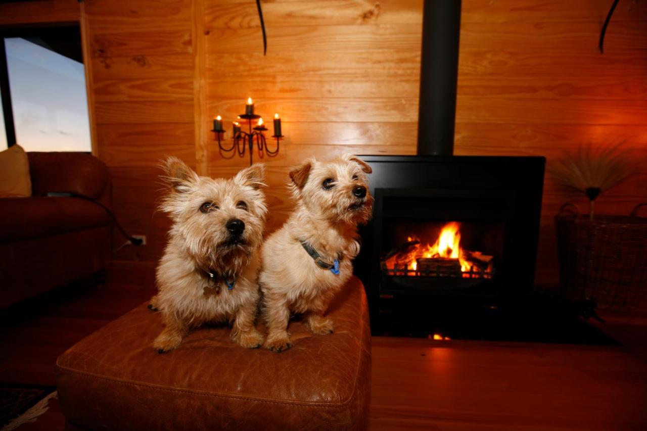 Birds Ferry Lodge Luxury B&B เวสต์พอร์ต ภายนอก รูปภาพ